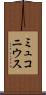 ミュコニウス Scroll