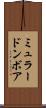 ミュラードンボア Scroll