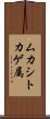 ムカシトカゲ属 Scroll