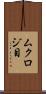 ムクロジ目 Scroll
