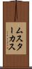ムスターカス Scroll