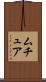 Mutua Scroll