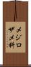 メジロザメ科 Scroll