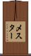 メスター Scroll