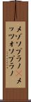メゾソプラノ(P) Scroll