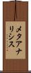 メタアナリシス Scroll