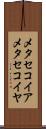メタセコイア Scroll