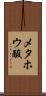 メタホウ酸 Scroll