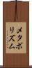 メタボリズム Scroll