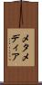 メタメディア Scroll