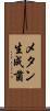 メタン生成菌 Scroll
