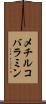 メチルコバラミン Scroll