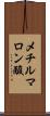 メチルマロン酸 Scroll