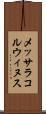 メッサラコルウィヌス Scroll