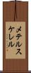 メテルスケレル Scroll