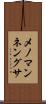 メノマンネングサ Scroll