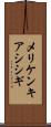 メリケンキアシシギ Scroll