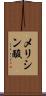 メリシン酸 Scroll