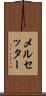 メルセッター Scroll