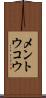 メントウコウ Scroll
