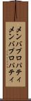 メンバプロパティ Scroll