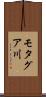 モタグア川 Scroll
