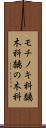 モチノキ科 Scroll
