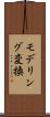 モデリング変換 Scroll