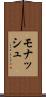 モナッシュ Scroll