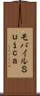 モバイルＳｕｉｃａ Scroll
