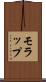 モラップ Scroll