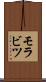 モラビツ Scroll