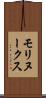 モリヌークス Scroll
