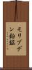 モリブデン鉛鉱 Scroll
