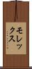 モレックス Scroll