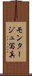 モンタージュ写真 Scroll