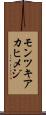 モンツキアカヒメジ Scroll