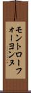 モントローフォーヨンヌ Scroll