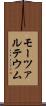 モーツァルテウム Scroll