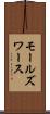 モールズワース Scroll