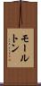 モールトン Scroll