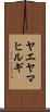 ヤエヤマヒルギ Scroll
