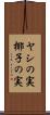ヤシの実 Scroll