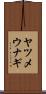 ヤツメウナギ Scroll