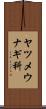 ヤツメウナギ科 Scroll