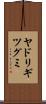 ヤドリギツグミ Scroll