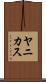 ヤニカス Scroll