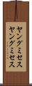 ヤングミセス Scroll