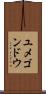 ユメゴンドウ Scroll