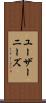 ユーザーニーズ Scroll